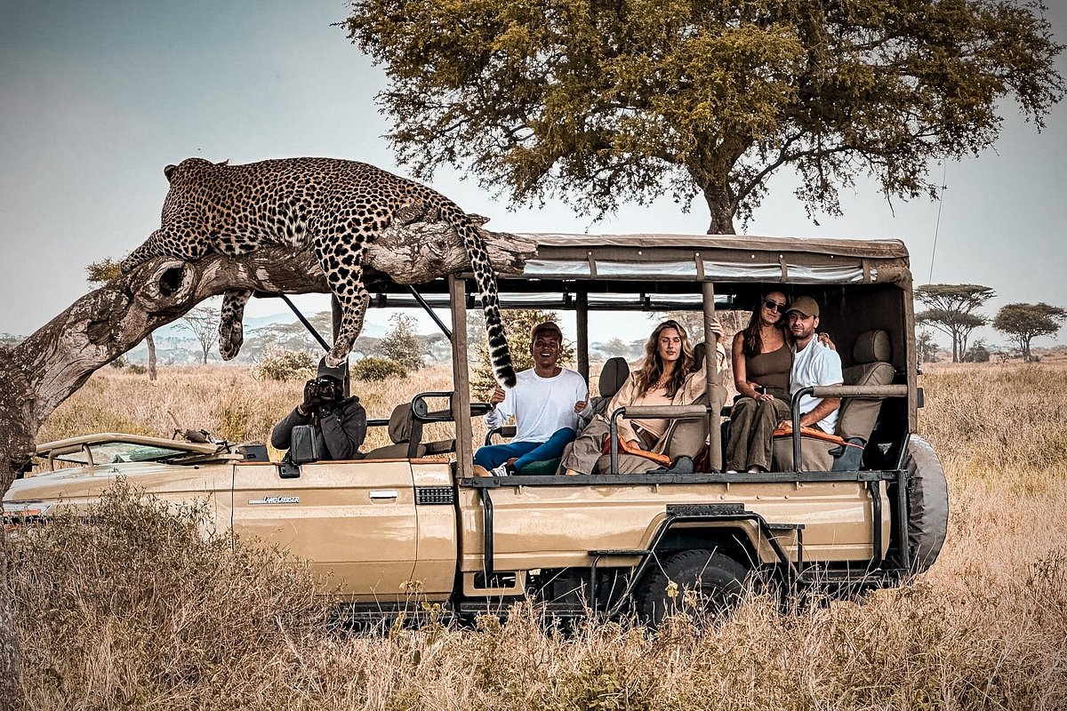 Safari Experience
